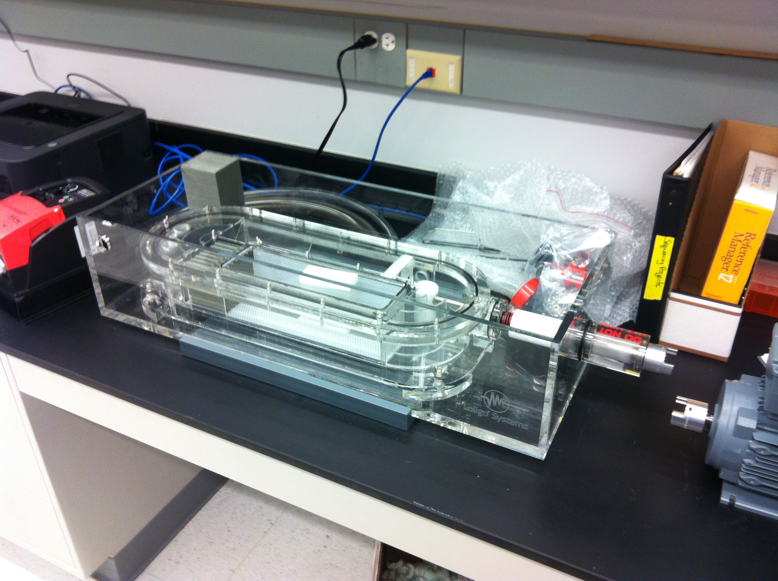 Research | The Bystriansky Lab